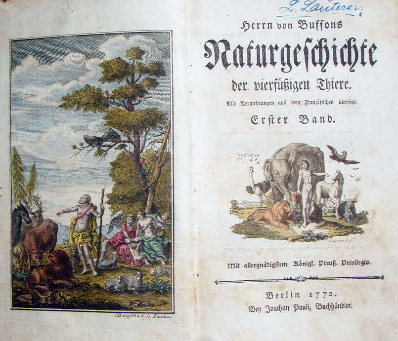 Buffon's Naturgeschichte der vierfssigen Thiere - mit farbigen Stichen 1772 - Erster Band - 12 x 20 cm - 329 Seiten -  39 € mtl./K 450 €