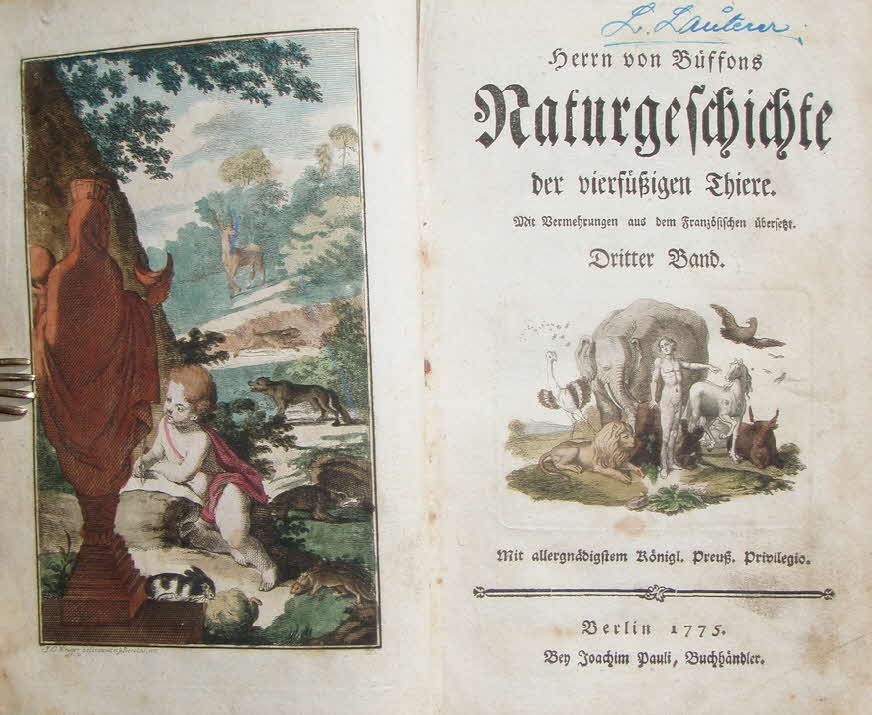 Buffon's Naturgeschichte der vierfssigen Thiere - mit farbigen Stichen 1772 - Dritter Band - 12 x 20 cm - 239 Seiten-  39 € mtl./K 450 €